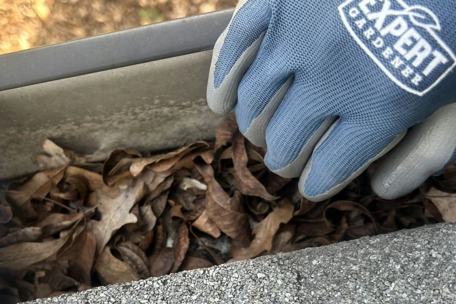 Gutter Cleaning Park Ridge