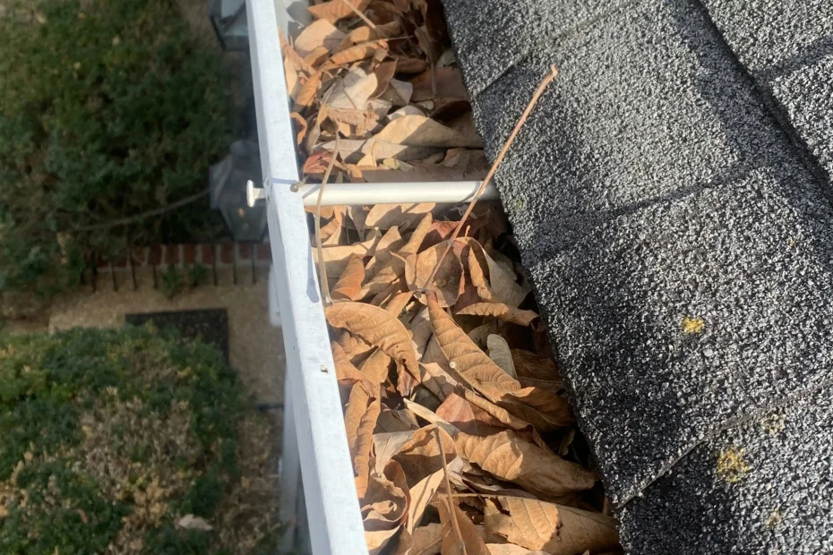 Gutter Cleaning Park Ridge