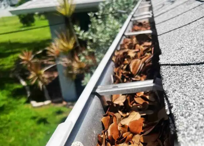 Gutter Cleaning Park Ridge home page